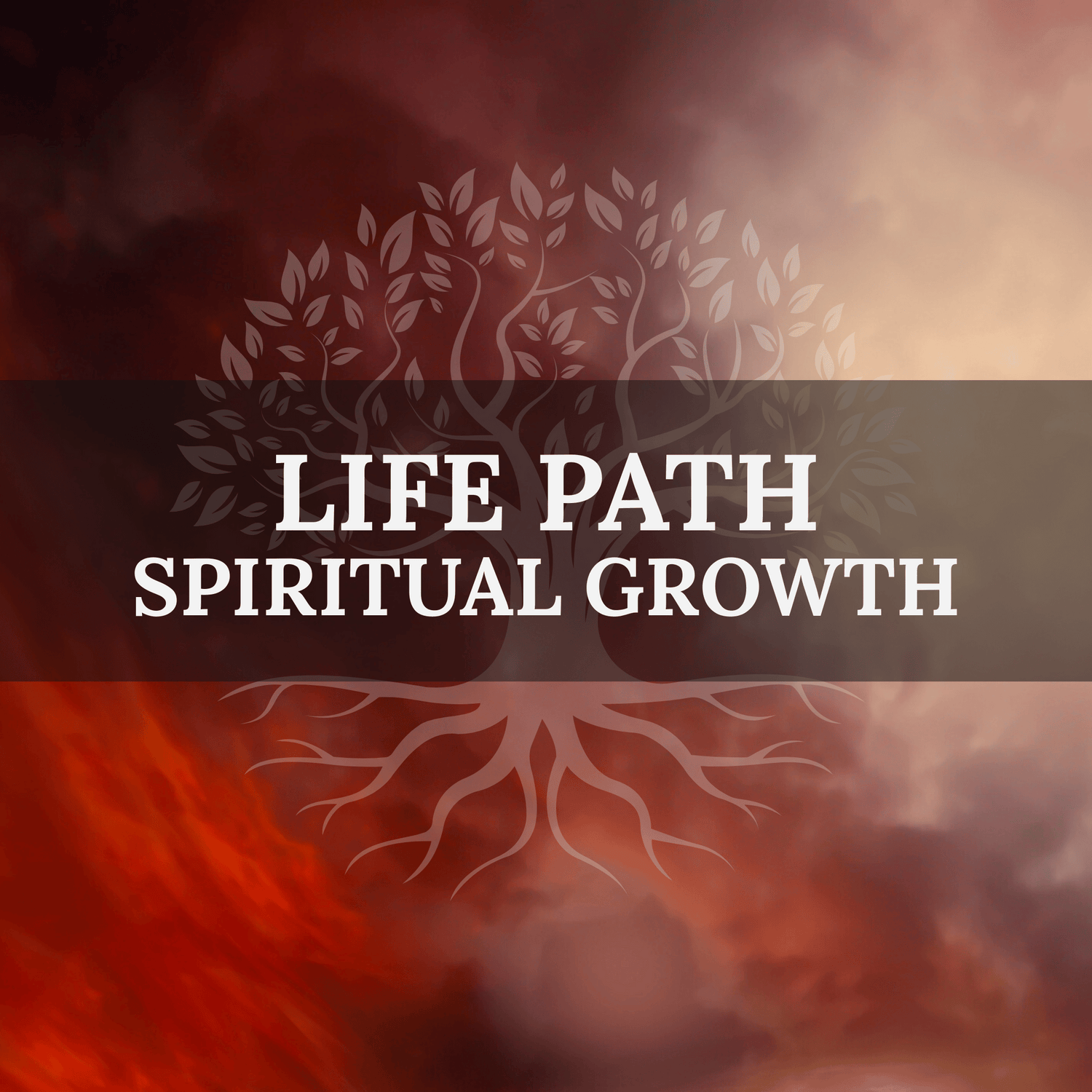 Life Path & Spiritual Growth